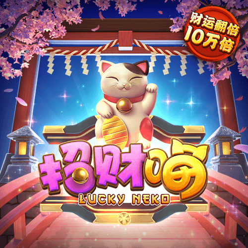 c7下载官网截图1